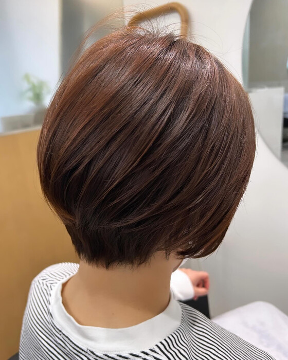 画像284