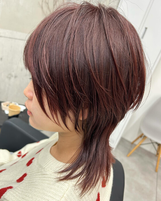 画像294